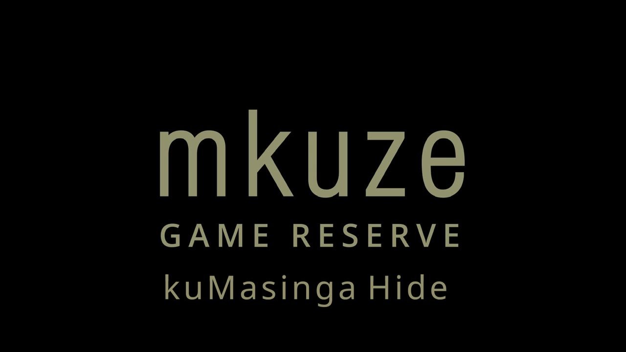 KwaMasinga Hide